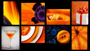collection of photos featuring orange